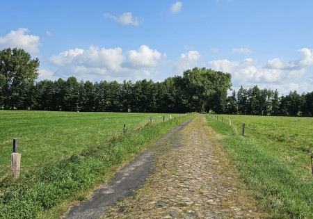 "„Uriger alter Kopfsteinpflasterweg